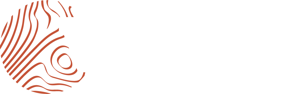 VINADEIS